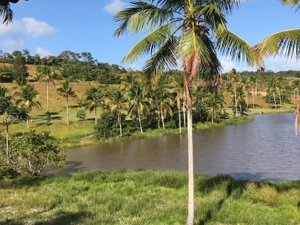 São Miguel dos Milagres Oka 23 Milagresヴィラ エクステリア 写真